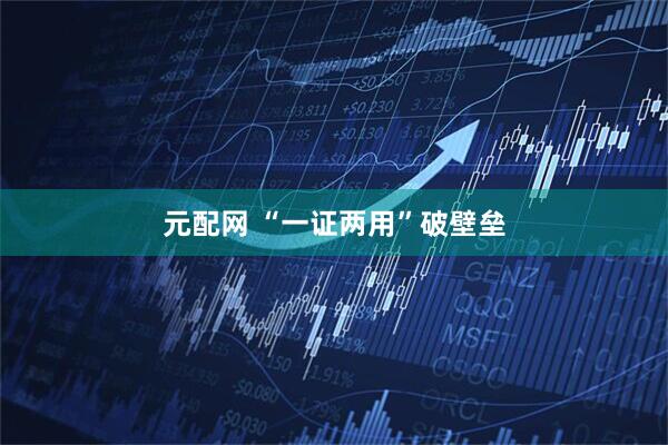 元配网 “一证两用”破壁垒