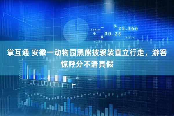 掌互通 安徽一动物园黑熊披袈裟直立行走，游客惊呼分不清真假