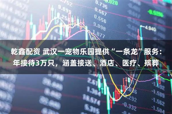 乾鑫配资 武汉一宠物乐园提供“一条龙”服务：年接待3万只，涵盖接送、酒店、医疗、殡葬