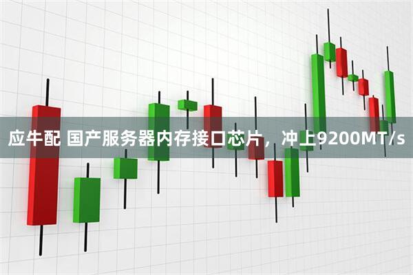 应牛配 国产服务器内存接口芯片，冲上9200MT/s
